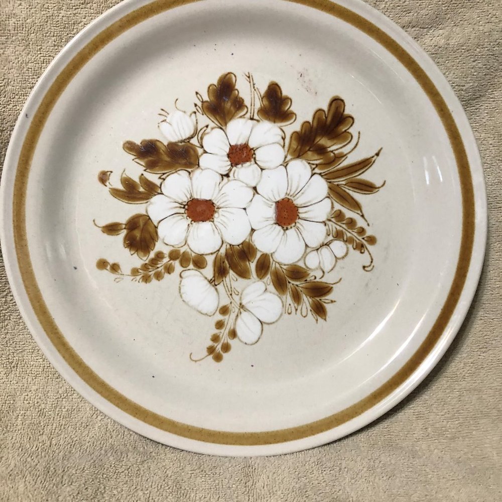Vintage Mountain WOod Collector Plate